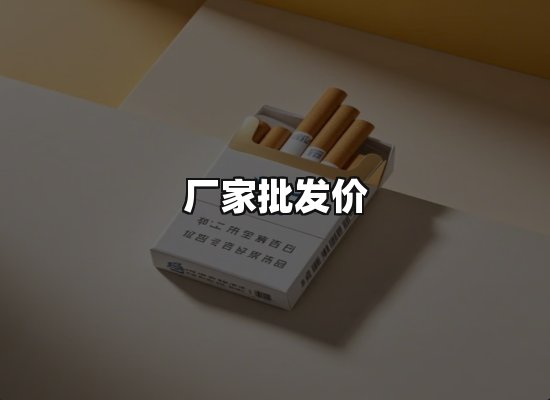 专业优势